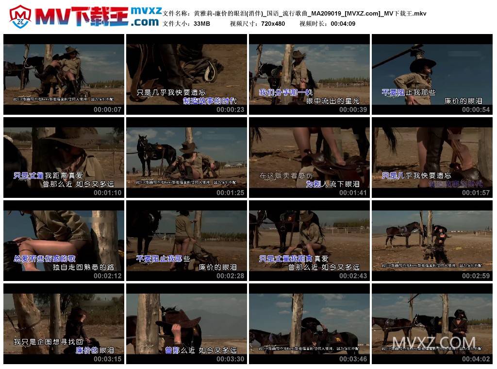 黄雅莉-廉价的眼泪(消伴)_国语_流行歌曲_MA209019